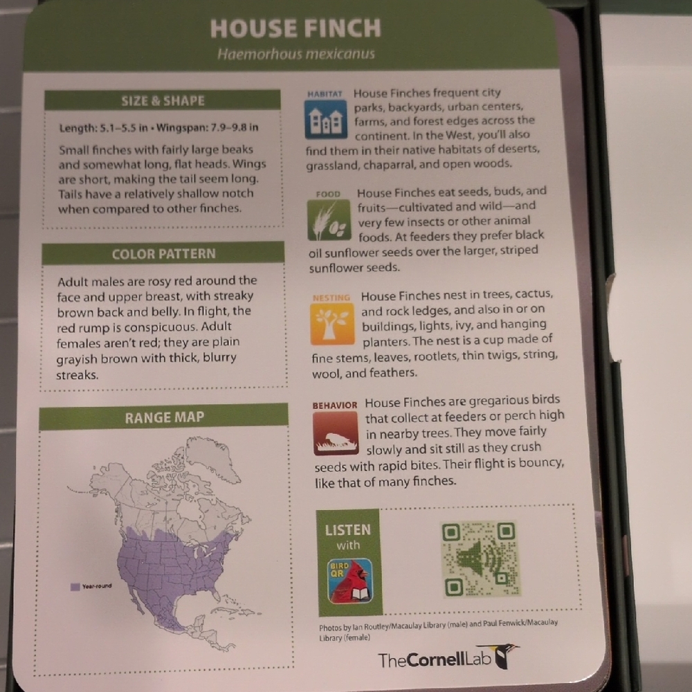 New In box...Backyard Birds Flash Cards - Picture 3 of 5